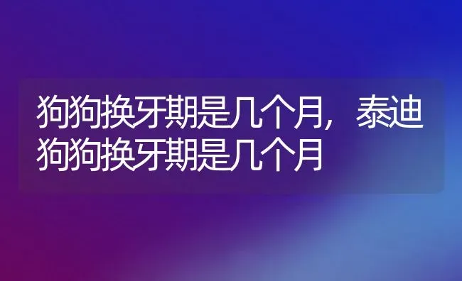 狗狗换牙期是几个月,泰迪狗狗换牙期是几个月 | 养殖资料