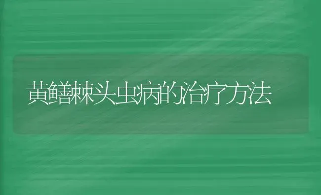 黄鳝棘头虫病的治疗方法 | 养殖技术大全