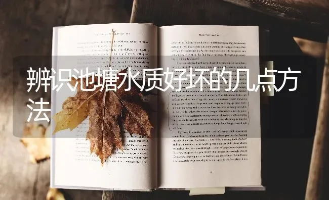 辨识池塘水质好坏的几点方法 | 养殖技术大全