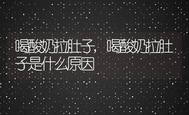 喝酸奶拉肚子,喝酸奶拉肚子是什么原因 | 养殖科普