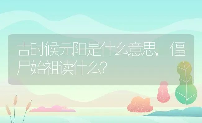 古时候元阳是什么意思,僵尸始祖读什么？ | 养殖科普