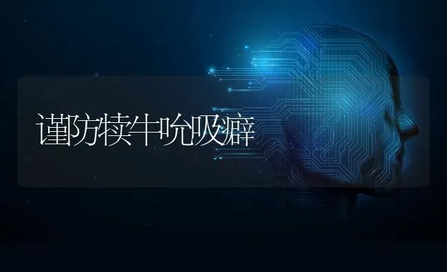 谨防犊牛吮吸癖 | 养殖技术大全