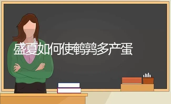 盛夏如何使鹌鹑多产蛋 | 养殖知识