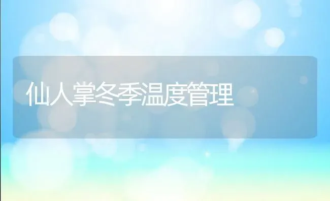 仙人掌冬季温度管理 | 养殖知识