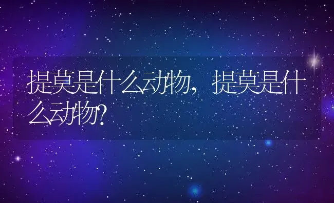 提莫是什么动物,提莫是什么动物? | 养殖资料