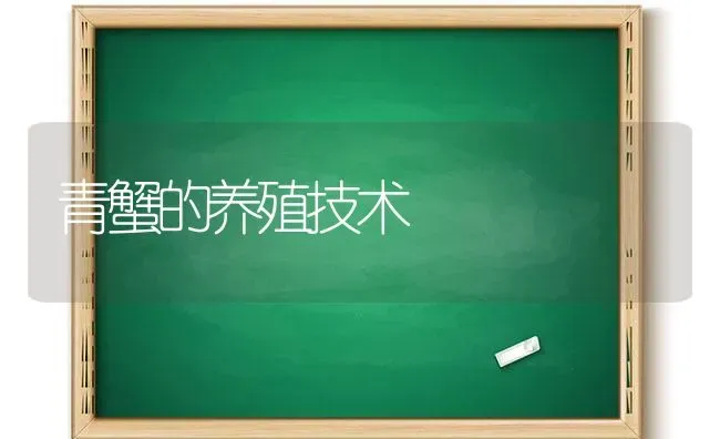 青蟹的养殖技术 | 养殖技术大全