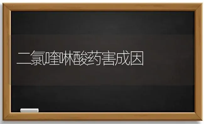 二氯喹啉酸药害成因 | 养殖技术大全