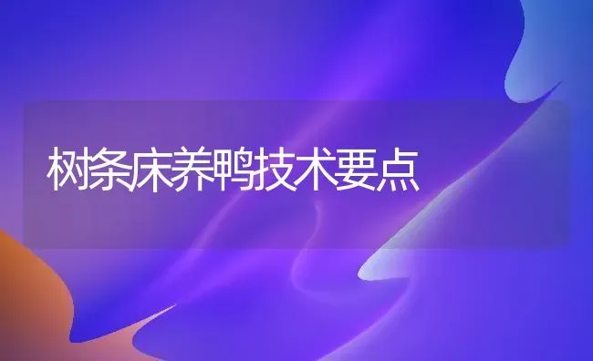 丘陵坡地种百合 | 养殖技术大全