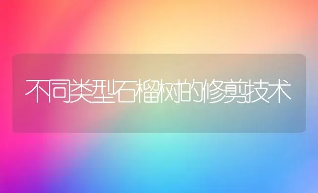 不同类型石榴树的修剪技术 | 养殖技术大全