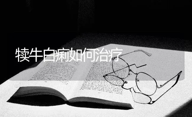 犊牛白痢如何治疗 | 养殖技术大全