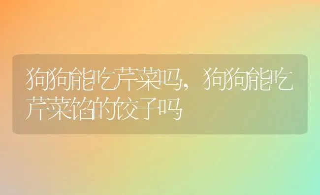 狗狗能吃芹菜吗,狗狗能吃芹菜馅的饺子吗 | 养殖科普