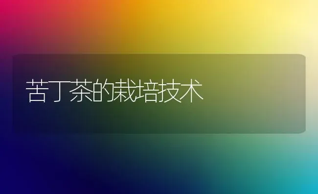 苦丁茶的栽培技术 | 养殖技术大全