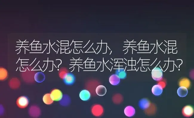 养鱼水混怎么办,养鱼水混怎么办?养鱼水浑浊怎么办? | 养殖科普