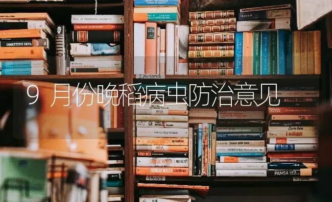 9月份晚稻病虫防治意见 | 养殖知识