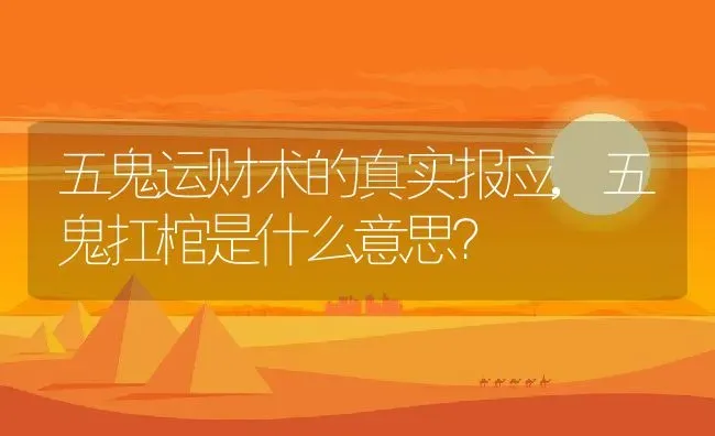 五鬼运财术的真实报应,五鬼扛棺是什么意思？ | 养殖科普