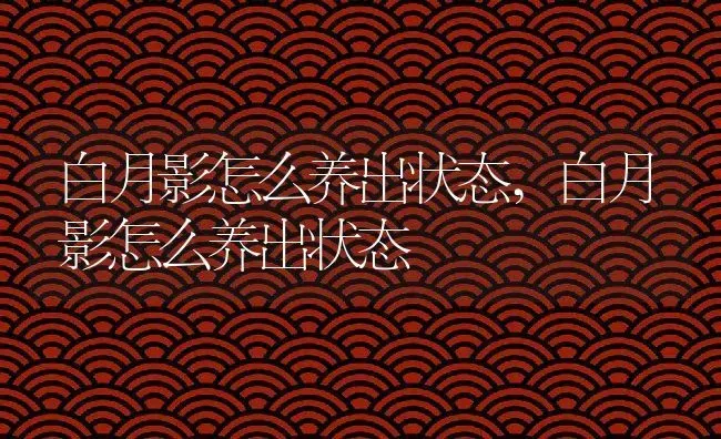 白月影怎么养出状态,白月影怎么养出状态 | 养殖学堂