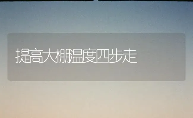 提高大棚温度四步走 | 养殖技术大全