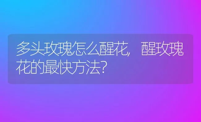 多头玫瑰怎么醒花,醒玫瑰花的最快方法？ | 养殖学堂