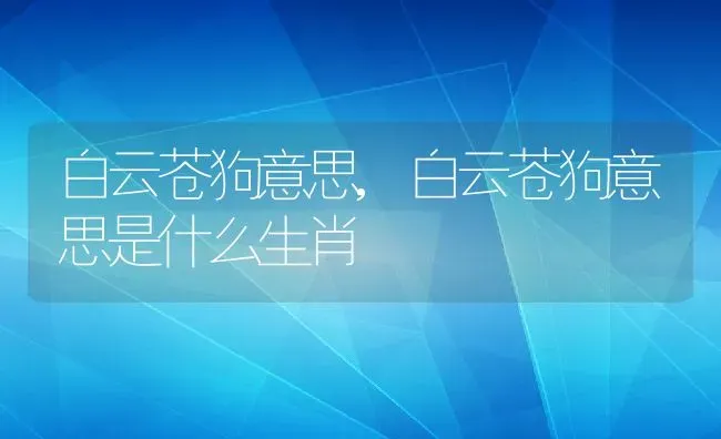 白云苍狗意思,白云苍狗意思是什么生肖 | 养殖资料