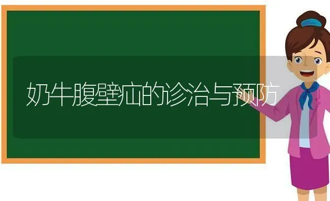 奶牛腹壁疝的诊治与预防 | 养殖知识