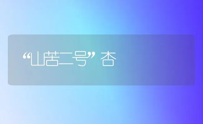 “山苦二号”杏 | 养殖技术大全
