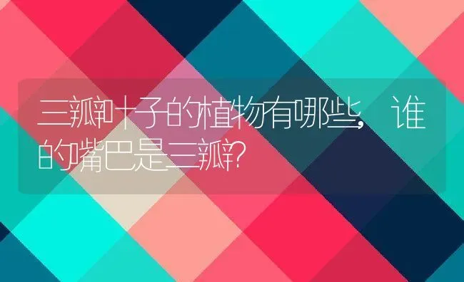 三瓣叶子的植物有哪些,谁的嘴巴是三瓣？ | 养殖科普