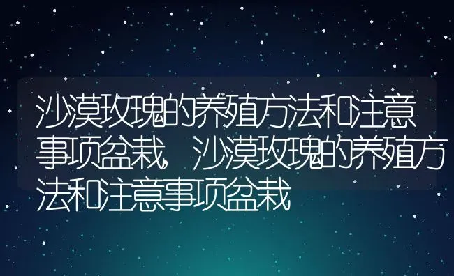 沙漠玫瑰的养殖方法和注意事项盆栽,沙漠玫瑰的养殖方法和注意事项盆栽 | 养殖科普
