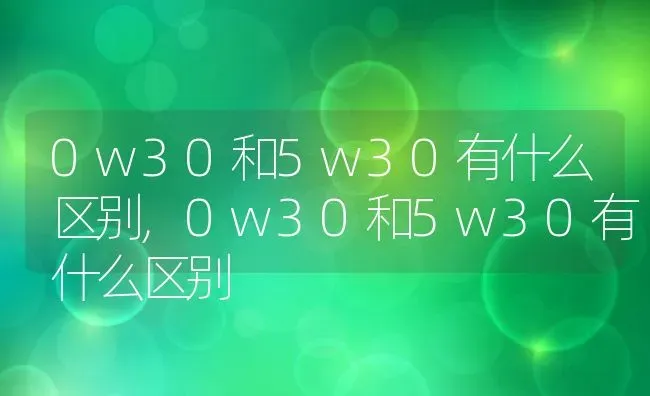 0w30和5w30有什么区别,0w30和5w30有什么区别 | 养殖学堂