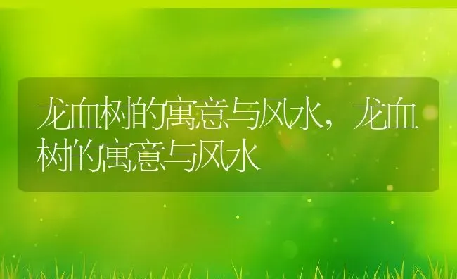 五峰毛尖属于什么茶,五峰毛尖的介绍？ | 养殖科普