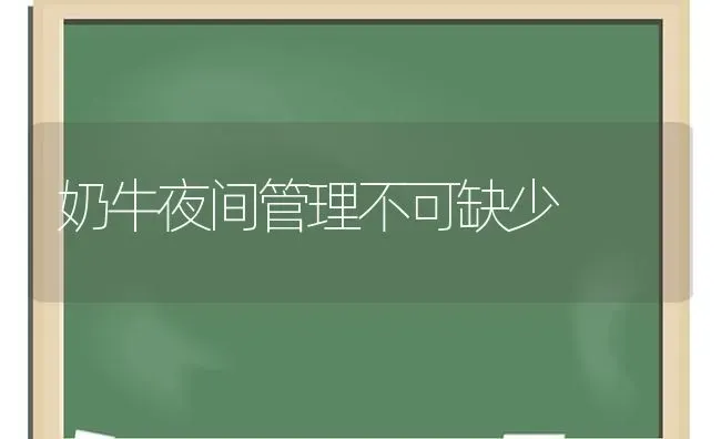 奶牛夜间管理不可缺少 | 养殖知识