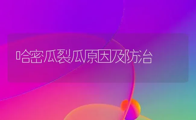 哈密瓜裂瓜原因及防治 | 养殖技术大全