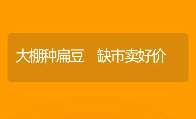 大棚种扁豆 缺市卖好价 | 养殖技术大全