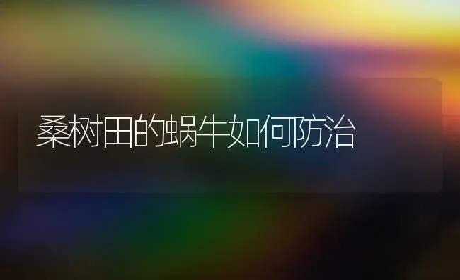 桑树田的蜗牛如何防治 | 养殖知识