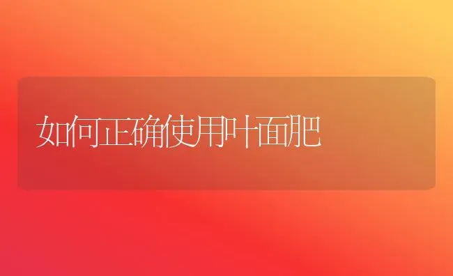 如何正确使用叶面肥 | 养殖技术大全