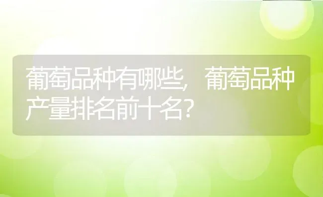 葡萄品种有哪些,葡萄品种产量排名前十名？ | 养殖科普