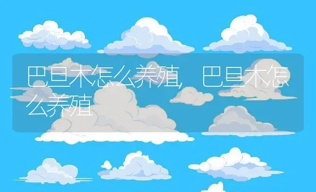 香雪兰的风水禁忌,水培香雪兰能活多久？ | 养殖科普