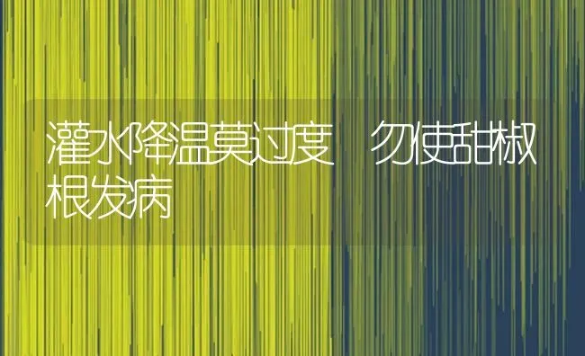 灌水降温莫过度 勿使甜椒根发病 | 养殖知识