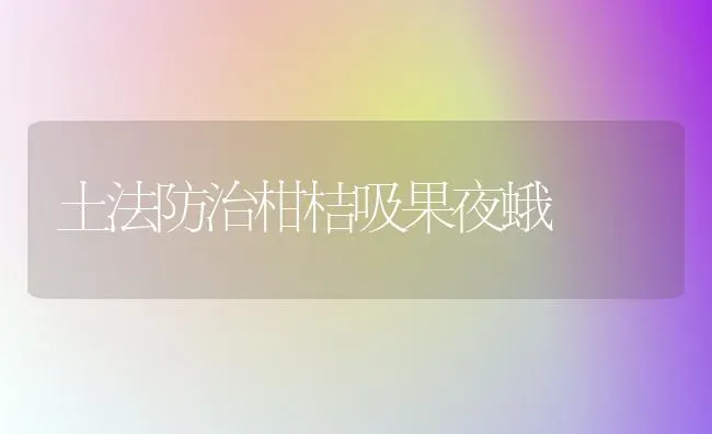 绿萝的秋冬养护 | 养殖知识