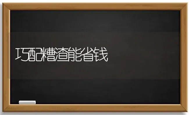 巧配糟渣能省钱 | 养殖知识