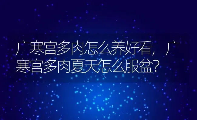 广寒宫多肉怎么养好看,广寒宫多肉夏天怎么服盆？ | 养殖科普