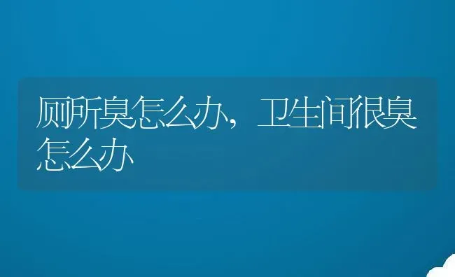 厕所臭怎么办,卫生间很臭怎么办 | 养殖资料