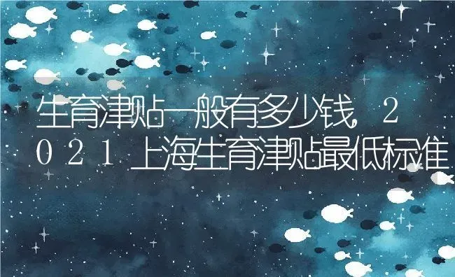 生育津贴一般有多少钱,2021上海生育津贴最低标准 | 养殖学堂