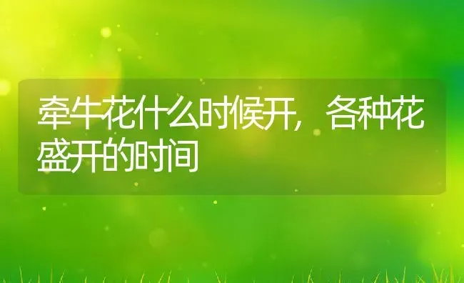 牵牛花什么时候开,各种花盛开的时间 | 养殖学堂