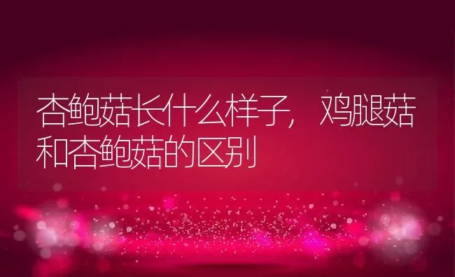杏鲍菇长什么样子,鸡腿菇和杏鲍菇的区别 | 养殖学堂