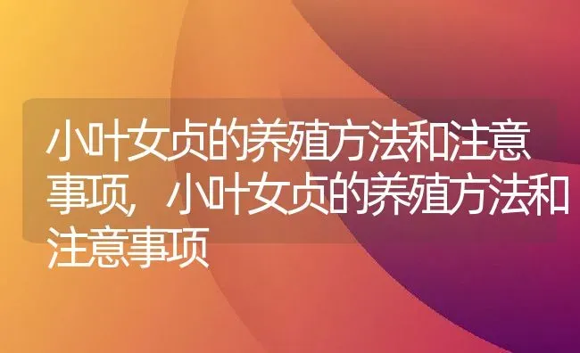 小叶女贞的养殖方法和注意事项,小叶女贞的养殖方法和注意事项 | 养殖科普