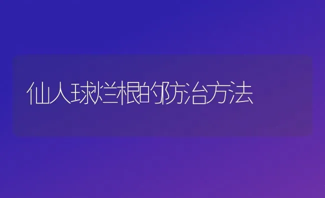 仙人球烂根的防治方法 | 养殖技术大全