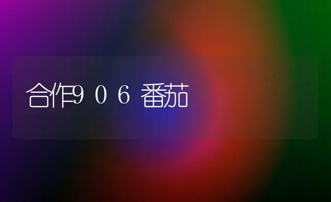 合作906番茄 | 养殖技术大全