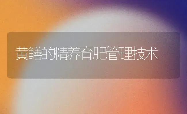 黄鳝的精养育肥管理技术 | 养殖技术大全