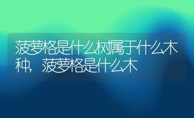 菠萝格是什么树属于什么木种,菠萝格是什么木 | 养殖科普