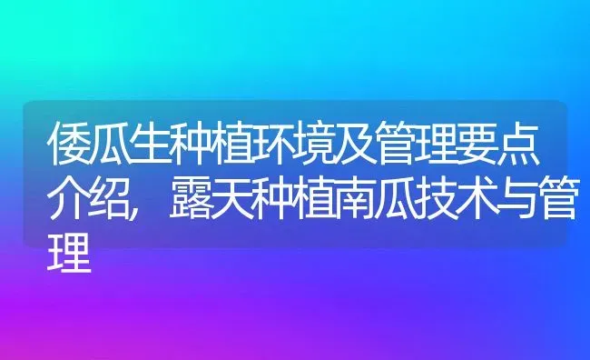 倭瓜生种植环境及管理要点介绍,露天种植南瓜技术与管理 | 养殖学堂